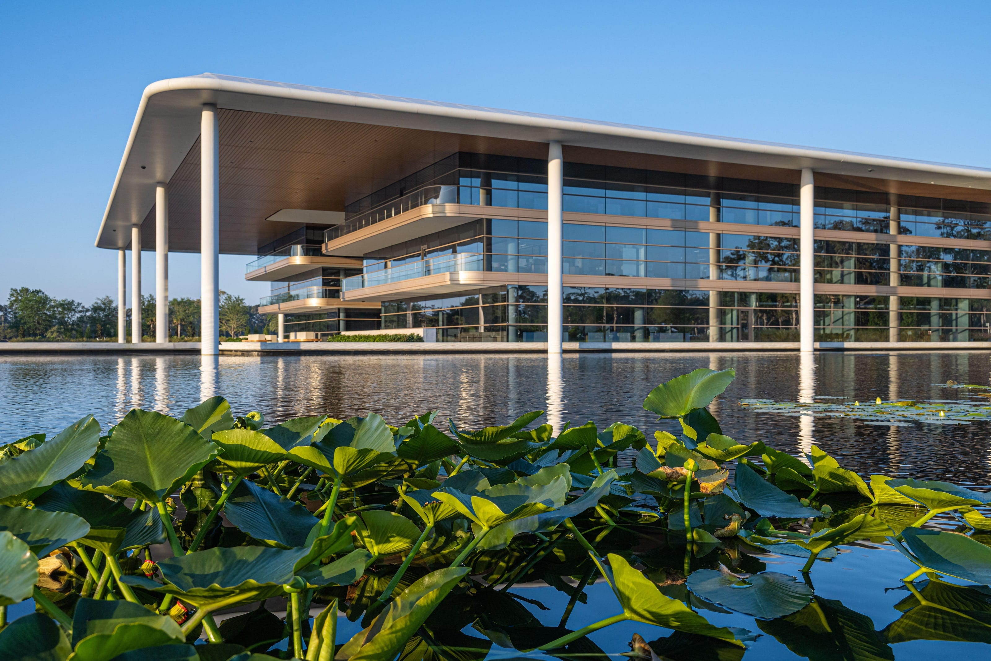 PGA Tour Headquarters across the water, framed by lily pads