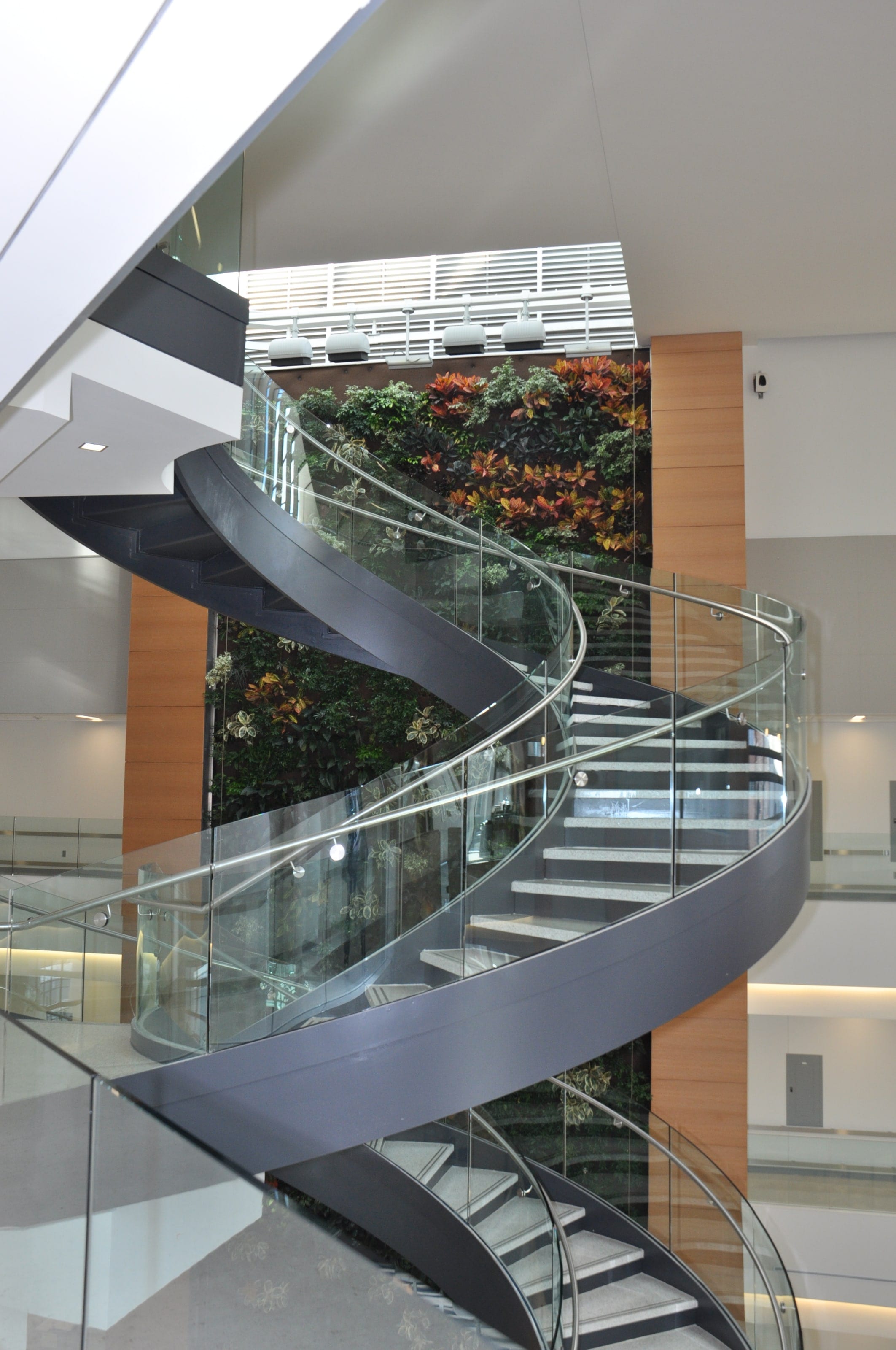 A dark steel helical stair with glass balustrade sweeping past a living green wall at Drexel University