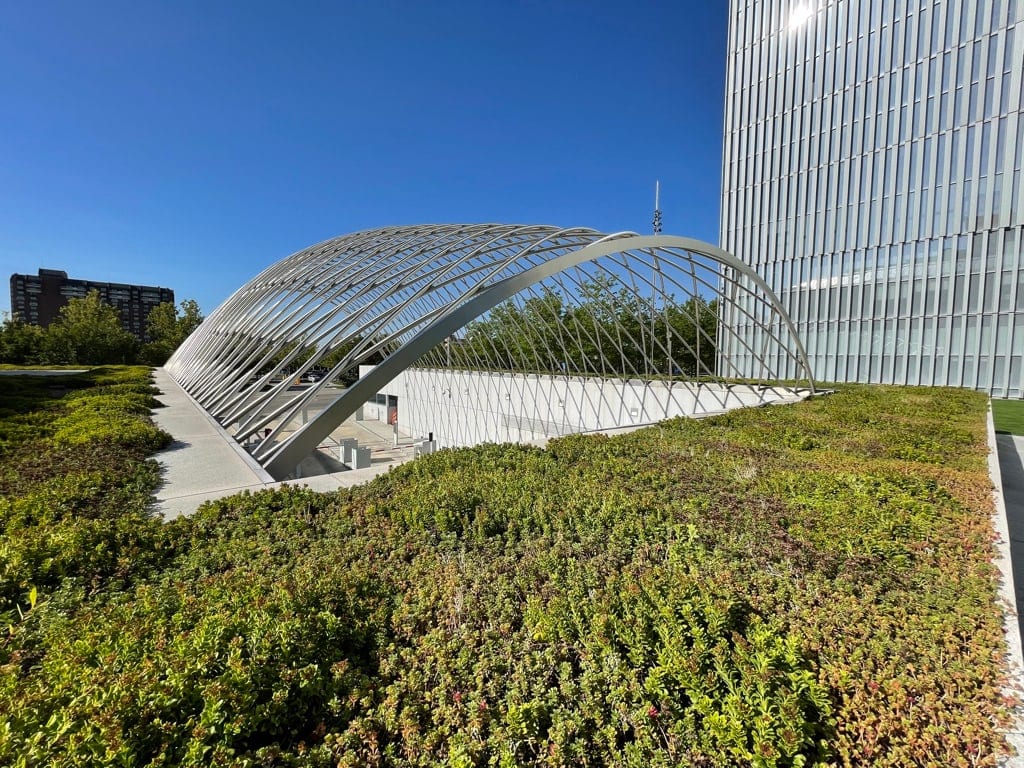 Stainless steel parabolic lattice arch on the courthouse roof garden, beside the tower